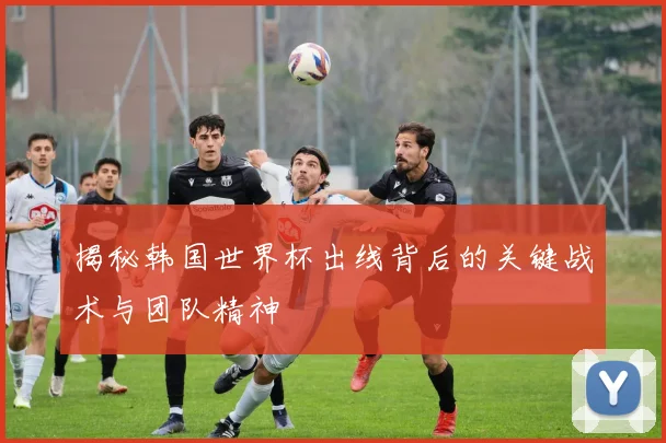 揭秘韩国世界杯出线背后的关键战术与团队精神