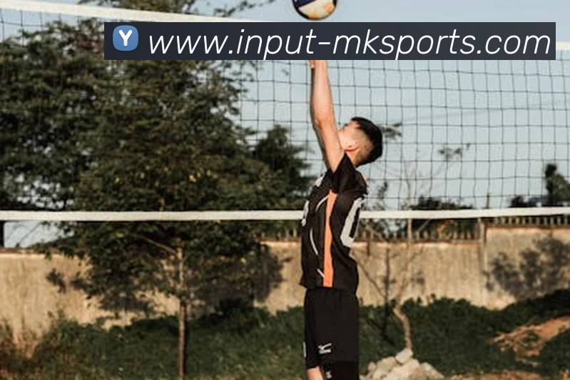 MK体育平台生态图